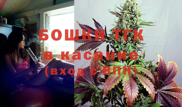 ГАЛЛЮЦИНОГЕННЫЕ ГРИБЫ Алзамай
