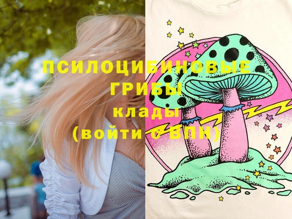 ГАЛЛЮЦИНОГЕННЫЕ ГРИБЫ Алзамай