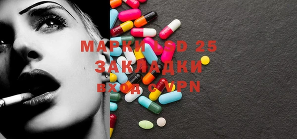 ГАЛЛЮЦИНОГЕННЫЕ ГРИБЫ Алзамай