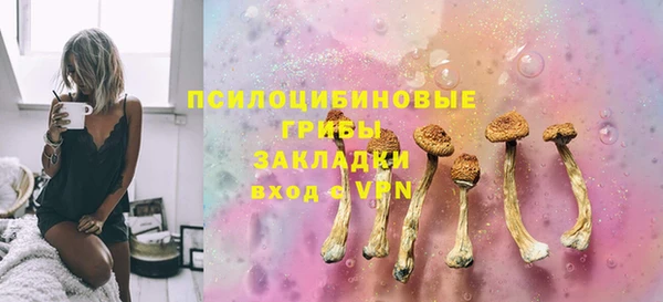ГАЛЛЮЦИНОГЕННЫЕ ГРИБЫ Алзамай