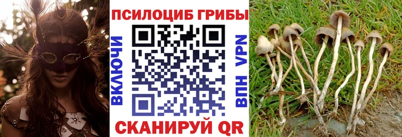 Псилоцибиновые грибы мухоморы Долинск